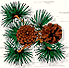 cone